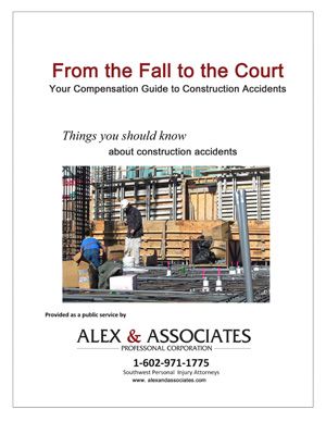 Fall to the Court E-Book
