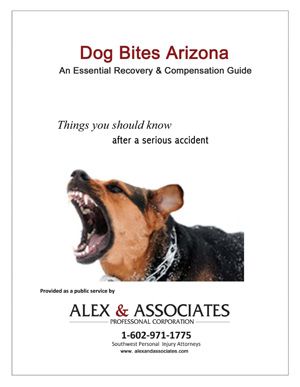 Dog Bite E-book