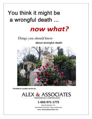 Wrongful Death E-book